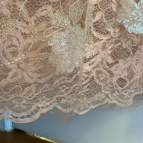 Vera Wang formal pink rose lace with gold/sliver detail size 6 - Picture 4 of 6